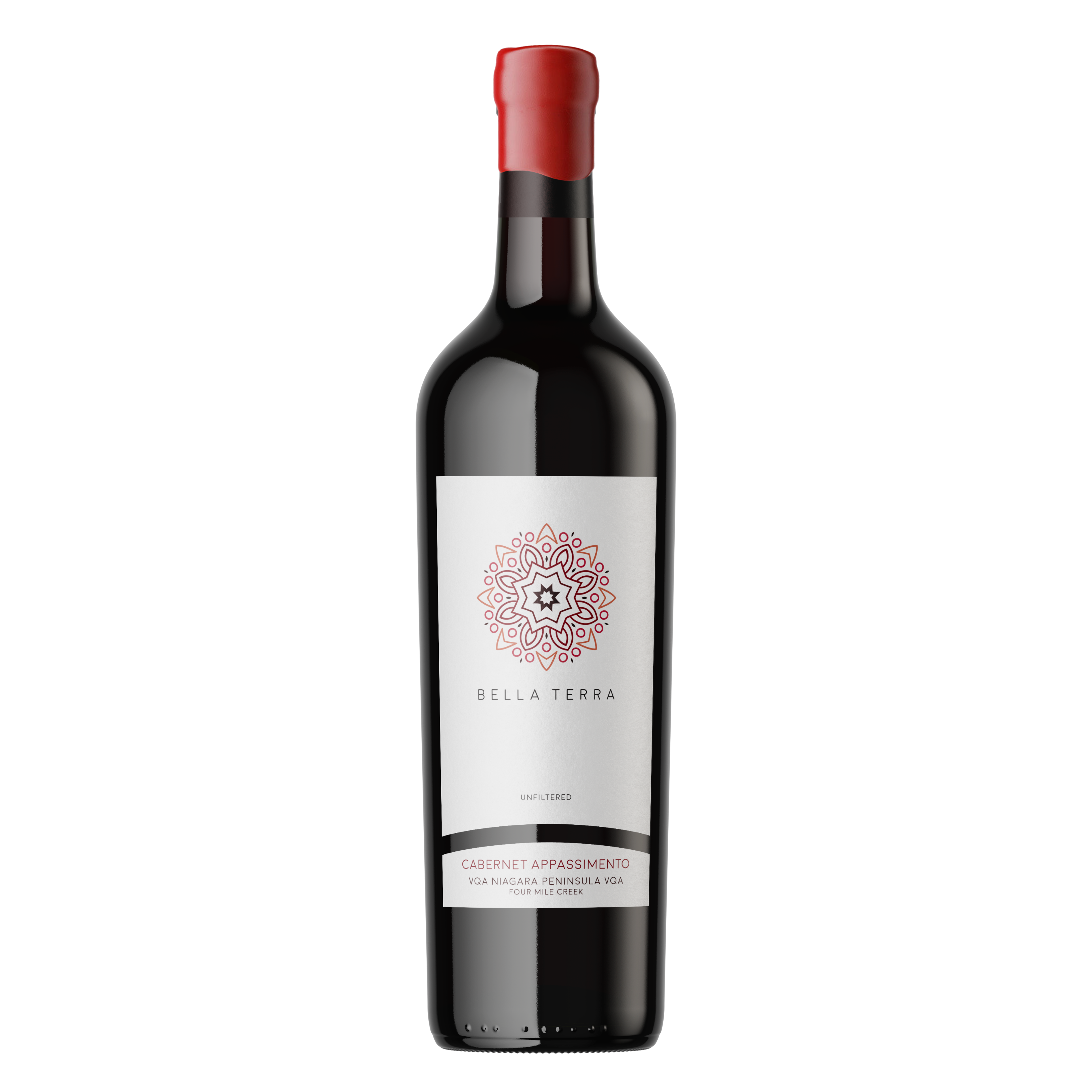 2020 Cabernet Appassimento
