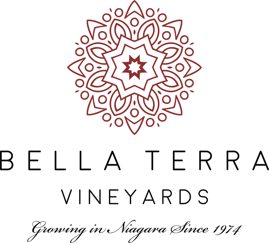 Ontario Bottle Deposit