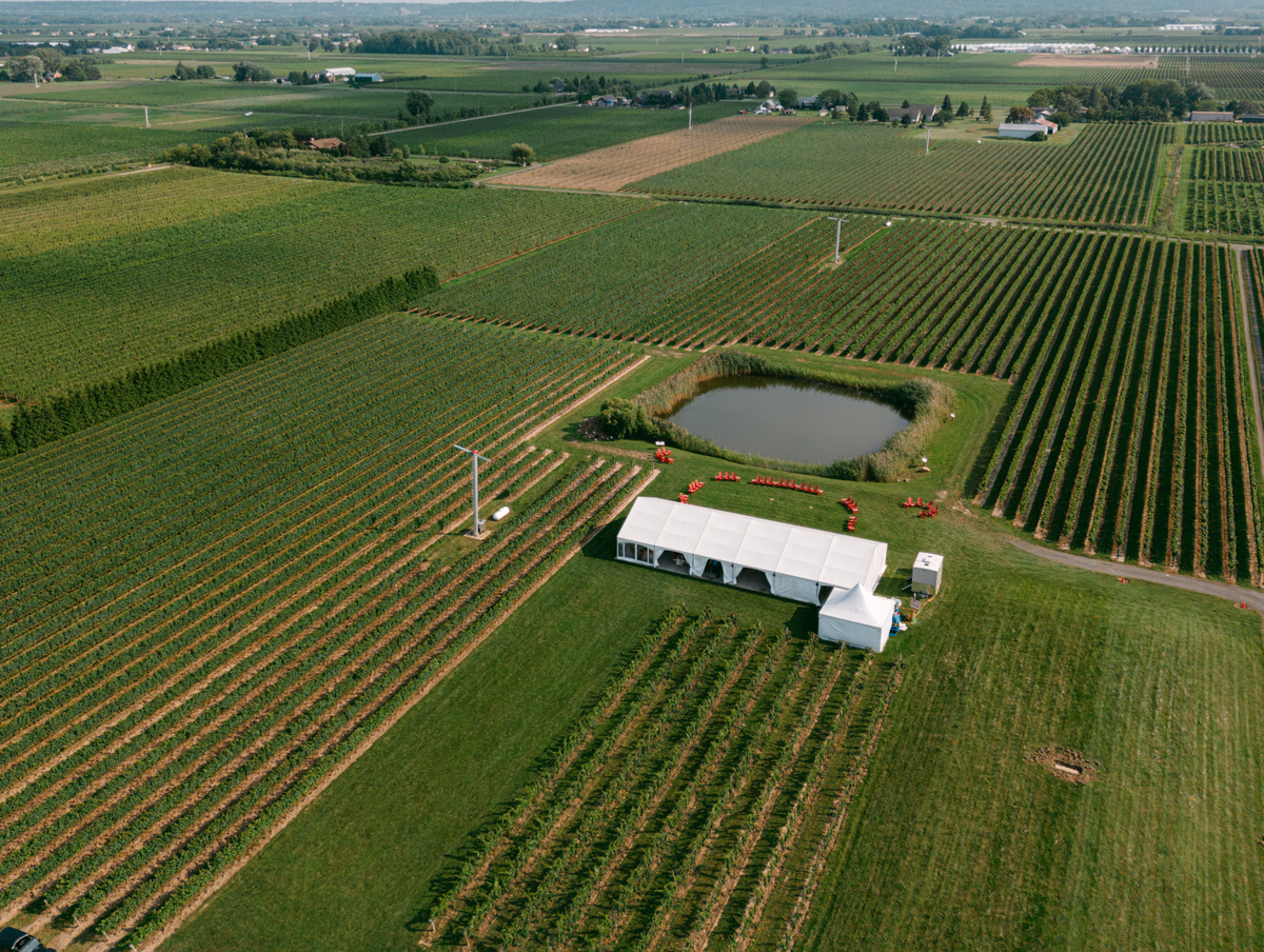 Bella Terra Vineyards event venue
